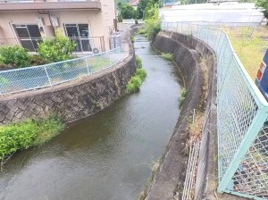 甲府市古府中町、土地の画像です