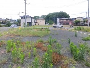 甲府市古府中町、土地の画像です
