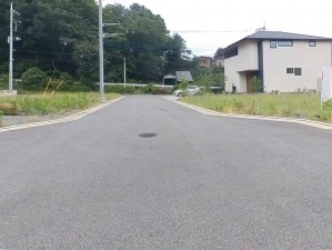 甲府市古府中町、土地の画像です