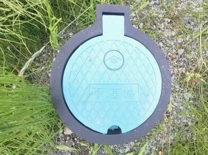 甲府市古府中町、土地の画像です