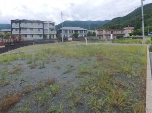 甲府市古府中町、土地の画像です