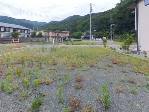 甲府市古府中町、土地の画像です