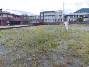 甲府市古府中町、土地の画像です