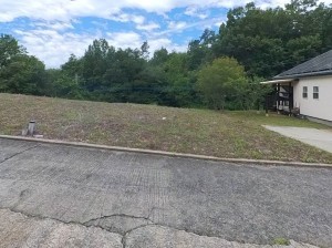 甲斐市大垈、土地の画像です