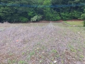 甲斐市大垈、土地の画像です