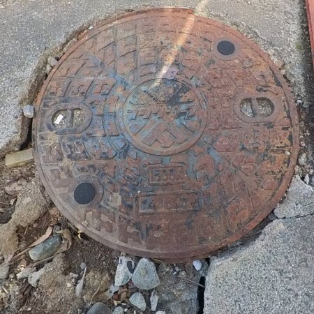 中巨摩郡昭和町押越、土地の画像です