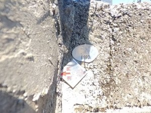 甲府市大手、土地の画像です
