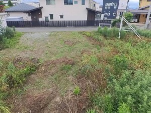 甲斐市中下条、土地の画像です