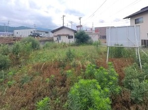 甲斐市中下条、土地の画像です