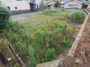 甲斐市中下条、土地の画像です