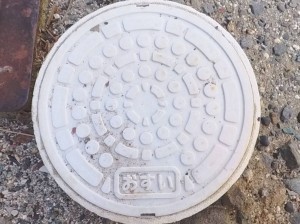 甲府市下飯田、土地の画像です