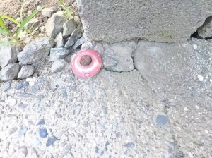 甲府市下飯田、土地の画像です