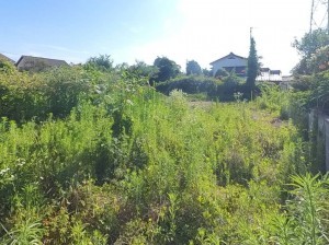 甲府市下飯田、土地の画像です