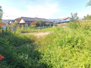 甲府市下飯田、土地の画像です