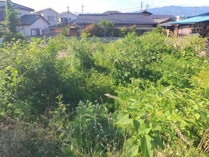 甲府市下飯田、土地の画像です