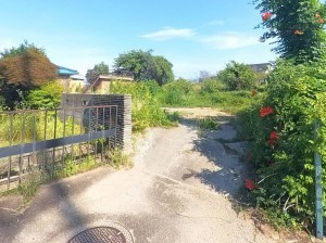 甲府市下飯田、土地の画像です