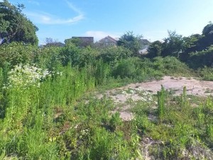 甲府市下飯田、土地の画像です