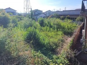 甲府市下飯田、土地の画像です