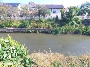 甲府市下飯田、土地の画像です