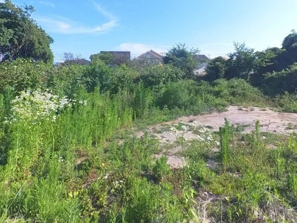 甲府市下飯田、土地の画像です