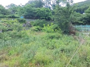 甲府市岩窪町、土地の画像です