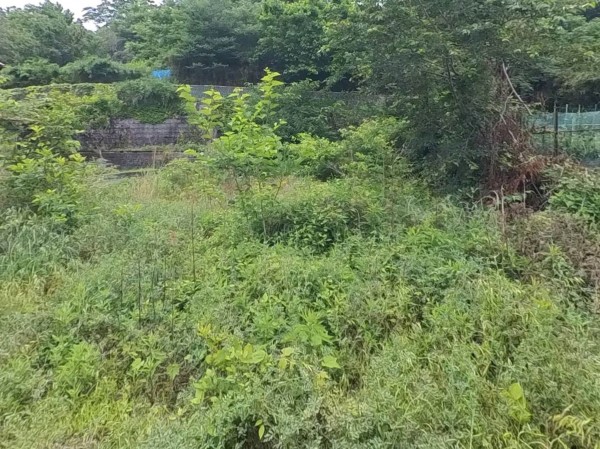甲府市岩窪町、土地の画像です