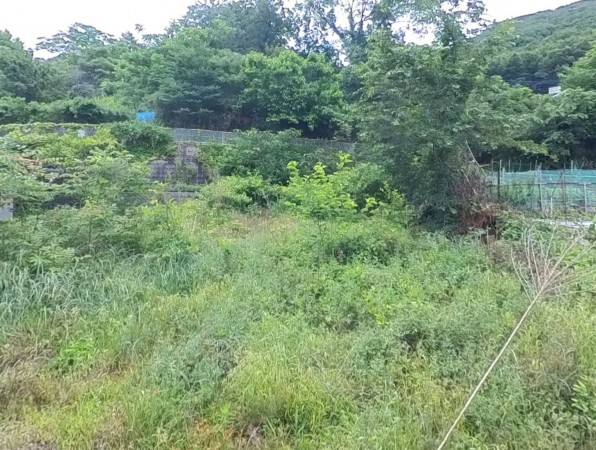 甲府市岩窪町、土地の画像です