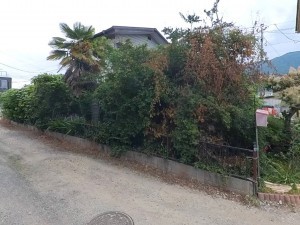 甲府市和戸町、土地の画像です