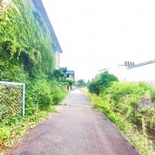 甲府市湯村、土地の画像です