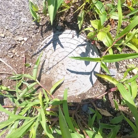 甲府市湯村、土地の画像です