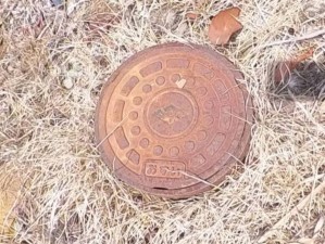 甲府市山宮町、土地の画像です