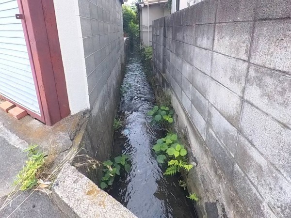 甲府市伊勢、土地の画像です