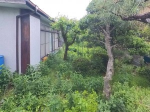甲府市国母、土地の画像です