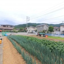 甲府市山宮町、土地の画像です
