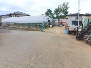 甲府市山宮町、土地の画像です
