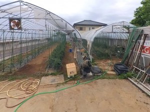 甲府市山宮町、土地の画像です