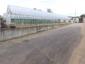 甲府市山宮町、土地の画像です