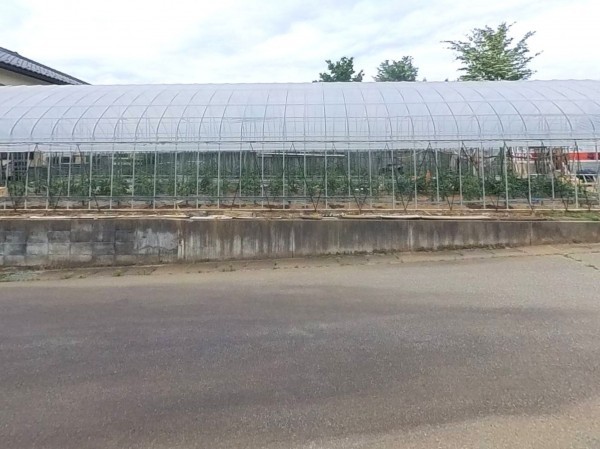 甲府市山宮町、土地の画像です