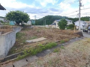 甲斐市団子新居、土地の画像です