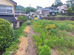 甲府市善光寺、土地の画像です