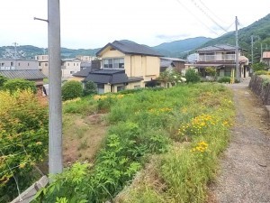 甲府市善光寺、土地の画像です