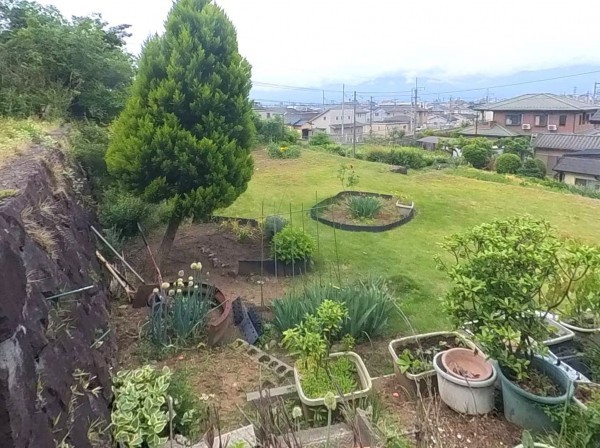 甲府市善光寺、土地の画像です