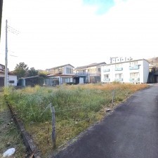 甲府市善光寺、土地の画像です