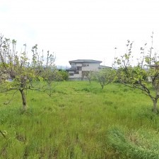 甲府市伊勢、土地の画像です