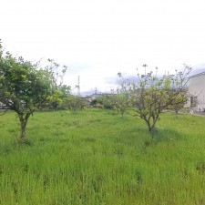 甲府市伊勢、土地の画像です