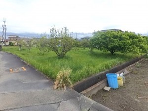甲府市伊勢、土地の画像です