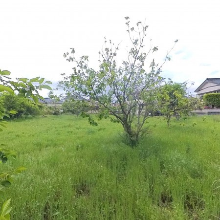 甲府市伊勢、土地の画像です