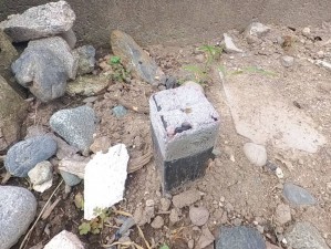 甲斐市中下条、土地の画像です