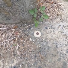 甲斐市富竹新田、土地の画像です