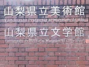 甲府市富竹、土地の画像です